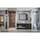 Elegance 25 1/4 - 37 3/4 x 72 Pivot Shower Door