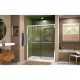 Duet Bypass Sliding Shower Door