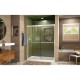 Duet Bypass Sliding Shower Door