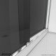 Essence Sliding Shower Door