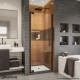 Elegance-LS Frameless Pivot Shower Door